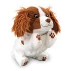 ������ڤ���Ȣ� �����ĥ� �ϥ����å����������ä���Showtime�ʥ��祦�������