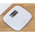 ��300����ꡪ���ɥ�ƥå����ΎގÎގ��������َ��؎̎��ێ� �Ύ܎��ġ�BS-183WT