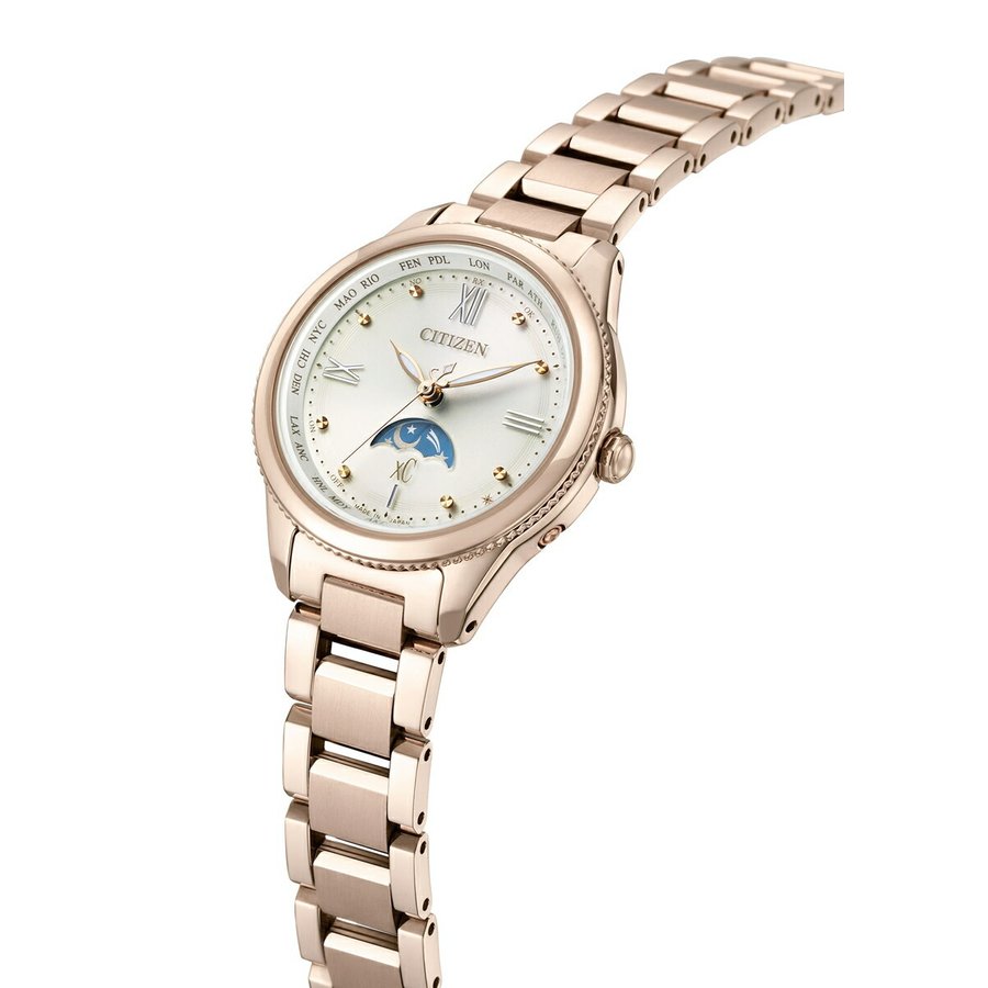 �������� ���������� ��ǥ������ӻ��� daichi ���쥯����� EE1004-57A