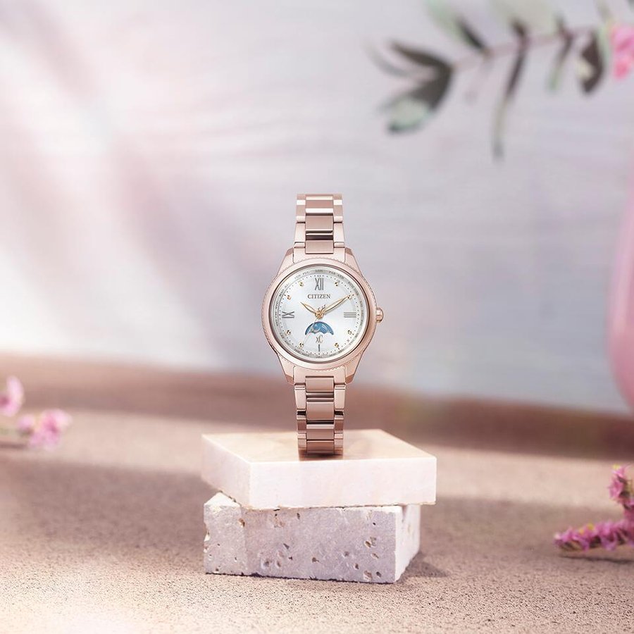 �������� ���������� ��ǥ������ӻ��� daichi ���쥯����� EE1004-57A