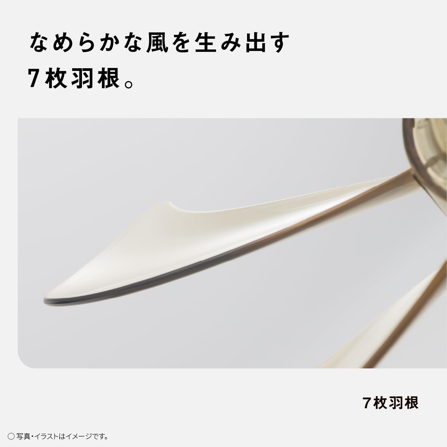 ����������Panasonic �ѥʥ��˥å� ������ ��ӥ��� F-C324D-W �ۥ磻�� 