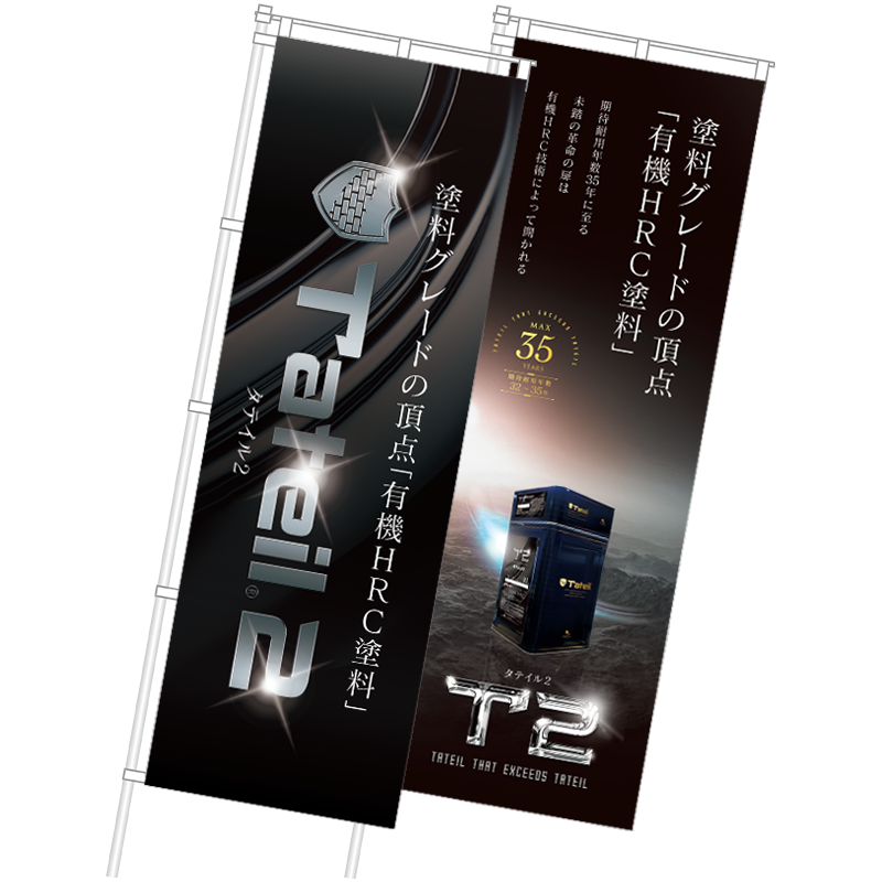 T2�ʥ��ƥ���2�ˡ��Τܤ�