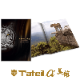 ���ƥ�������ץ�ߥ��२�ǥ�����󥷥꡼������������