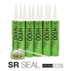 SR�����롡H100�ʥ����ȥ�å���10��/Ȣ��