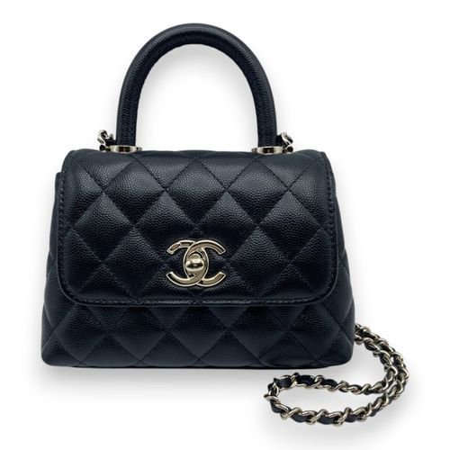 ͥ ϥɥ W14.5 ֥å ӥ ɶ