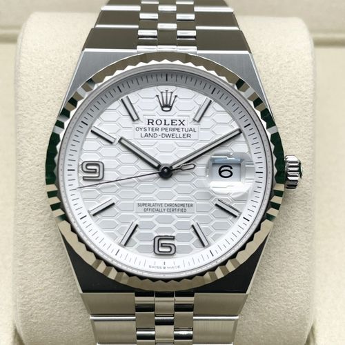 ���ݾڽ�����2026ǯ1��ۥ���å��� ���ɥɥ����顼 127234 ����ƥ󥹥ۥ磻�� �ϥ˥��������� 36mm