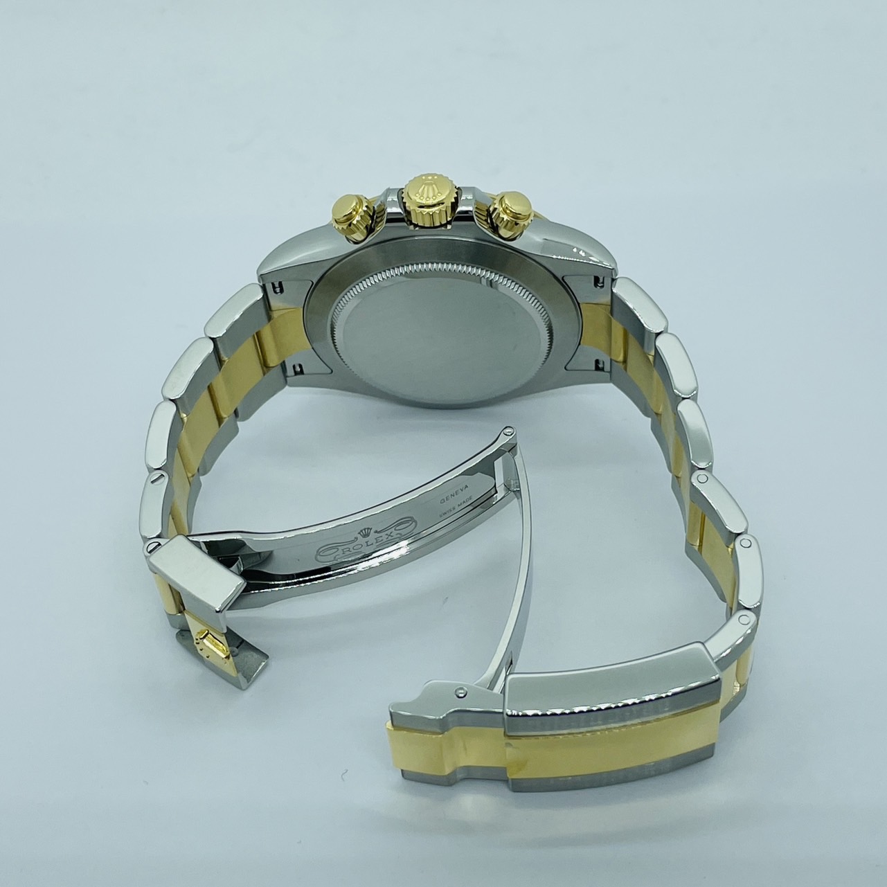 ����å��� �����⥰��եǥ��ȥ� 116503 �ۥ磻��