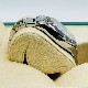 ����å��� �ǥ��ȥ� 126500LN  �ۥ磻�� 40mm ���ƥ�쥹�������� �����������֥쥹