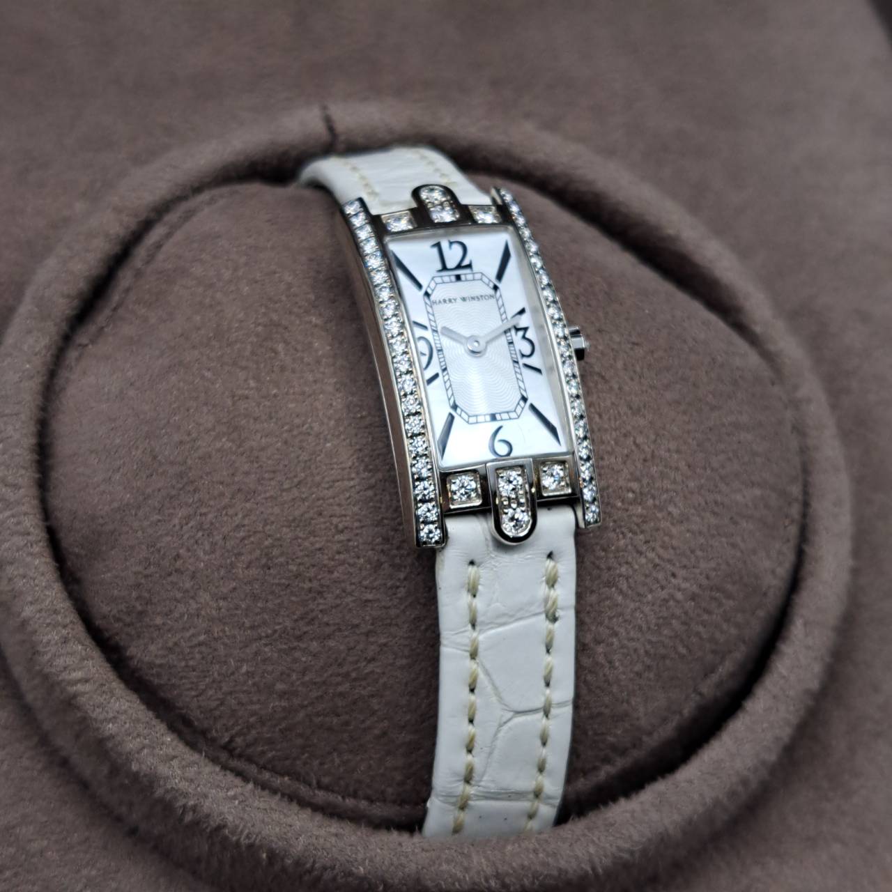 ڲƤòۥϥ꡼󥹥ȥ ٥˥塼 AVCQHM16WW024 ۥ磻ȥ 32ߥ