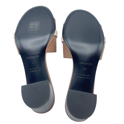 ����᥹ ���� ������� 37 �������ڥ�� 24cm