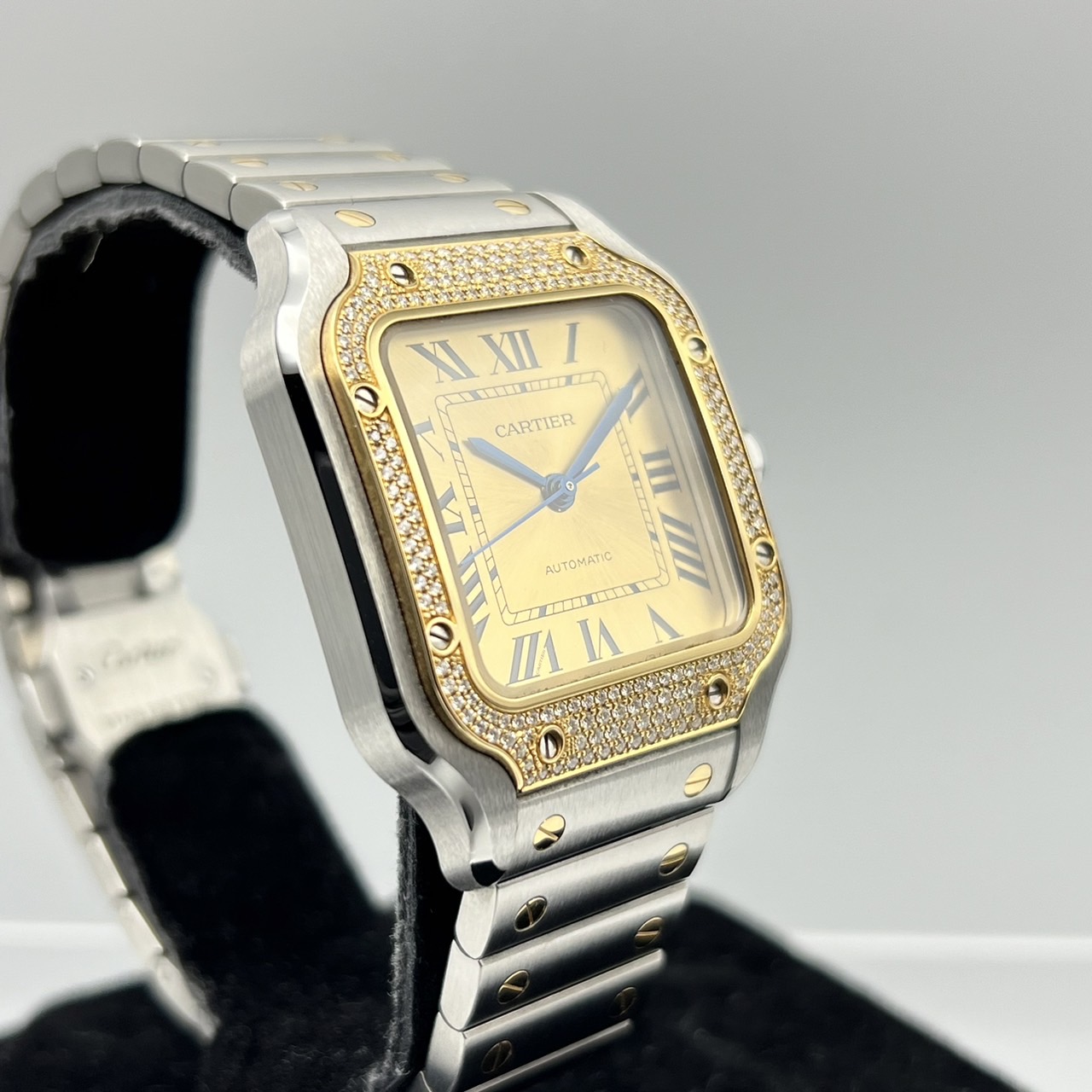 ƥ ȥ ɥ ƥ å MM W3SA0007 ѥ