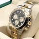ڤͲòۥå ǥȥ 126503G ֥饤ȥ֥åǥ 8P 40mm