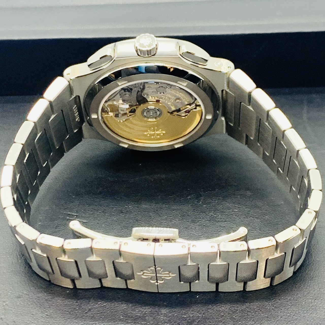 �ѥƥå��ե���å� �Ρ����饹 5990/1A-001 �����Хå��� ���ƥ�쥹��������֥�å�����ǡ������