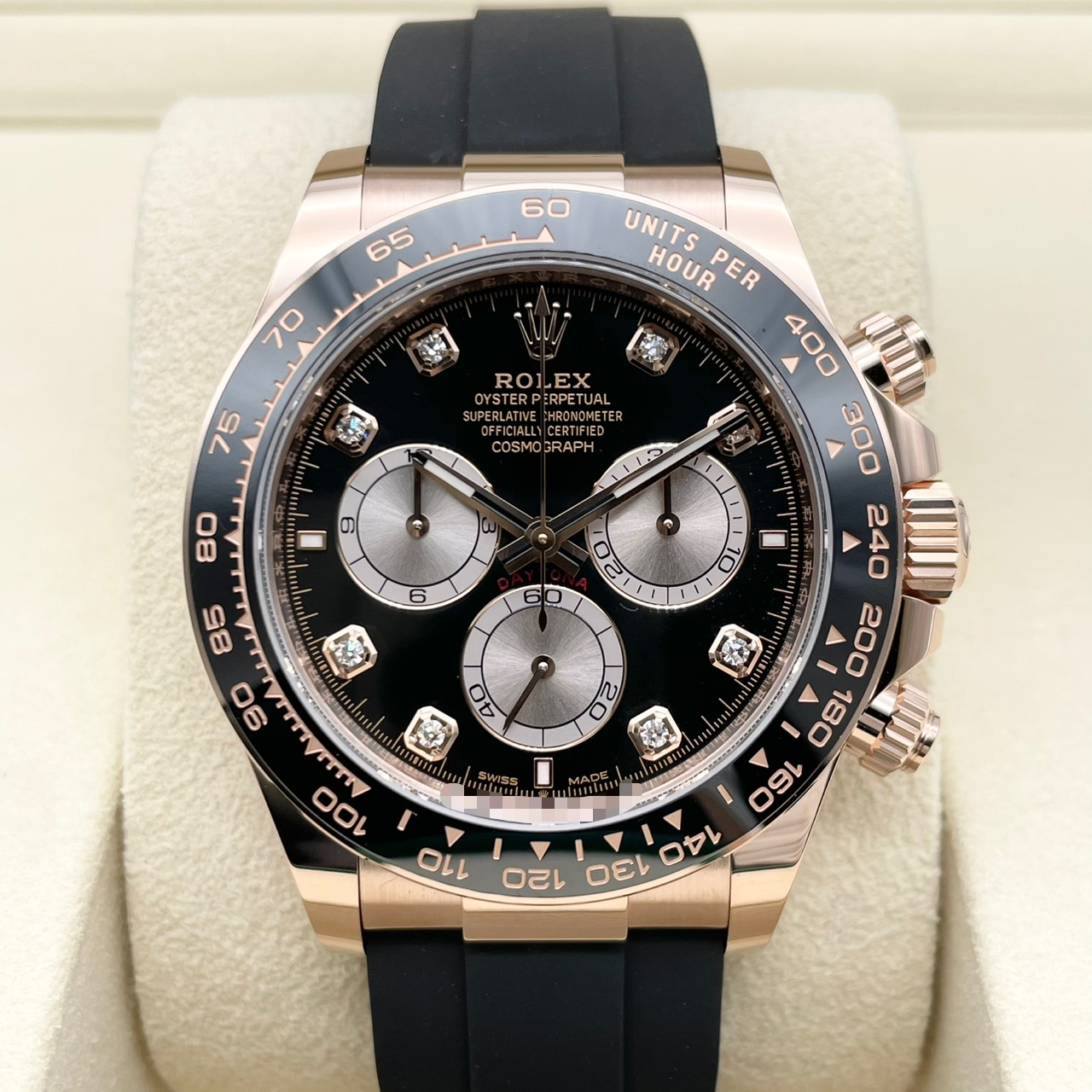 ��2026 �����ò��ۡ��ݾڽ�����2025ǯ12��ۥ���å��� �ǥ��ȥ� 126515LNG �֥饤�ȥ֥�å������������ 8P������ 40mm