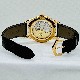 �ѥƥå��ե���å� ����ץꥱ������� 5205R-001 �ۥ磻�� 40mm