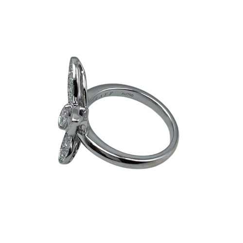 ����� �Х��ե饤 ��������� ��� �ۥ磻�ȥ�����ɡ�46 ��6���