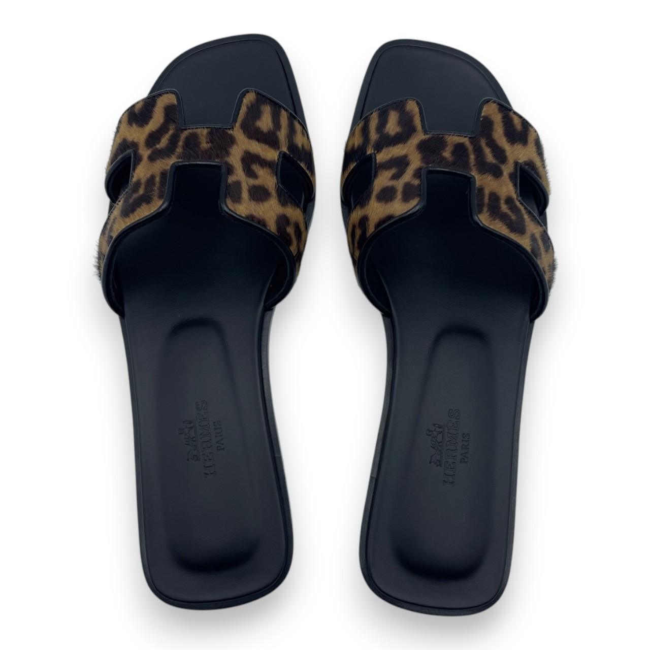 ����᥹ ����� ������� 36.5 �������/�� 23.5cm