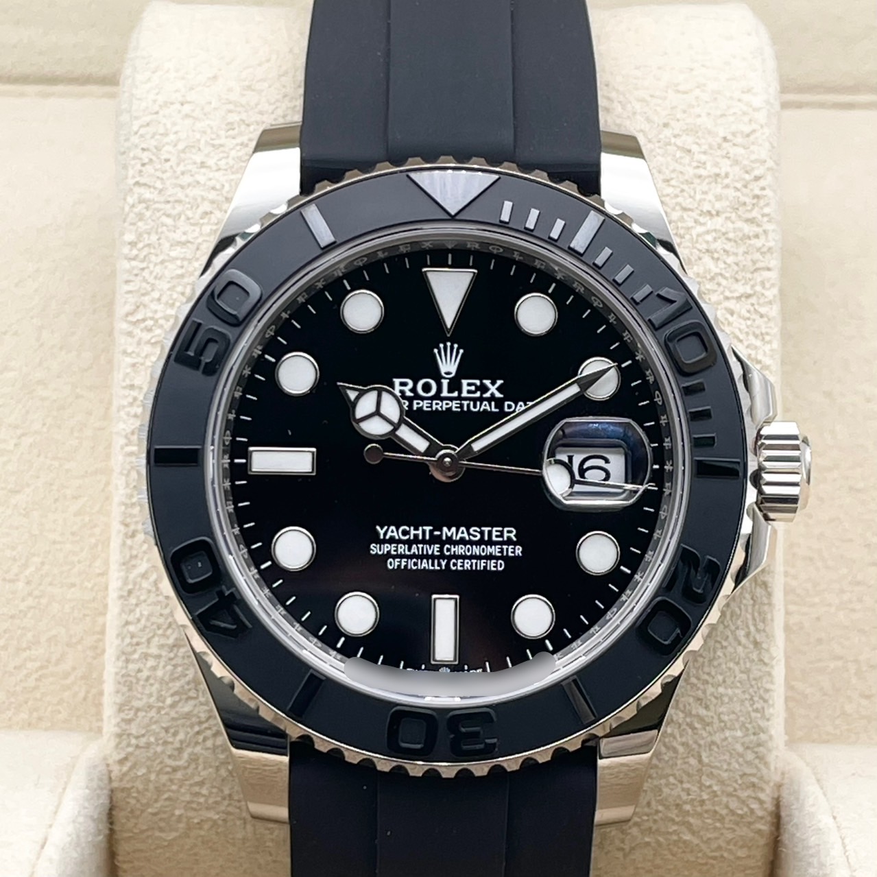 ڤòۥå åȥޥ 226659 ֥å ۥ磻ȥ 42mm