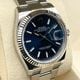 ����å��� �ǥ��ȥ��㥹�� 126234 �֥롼 �����������֥쥹 36mm
