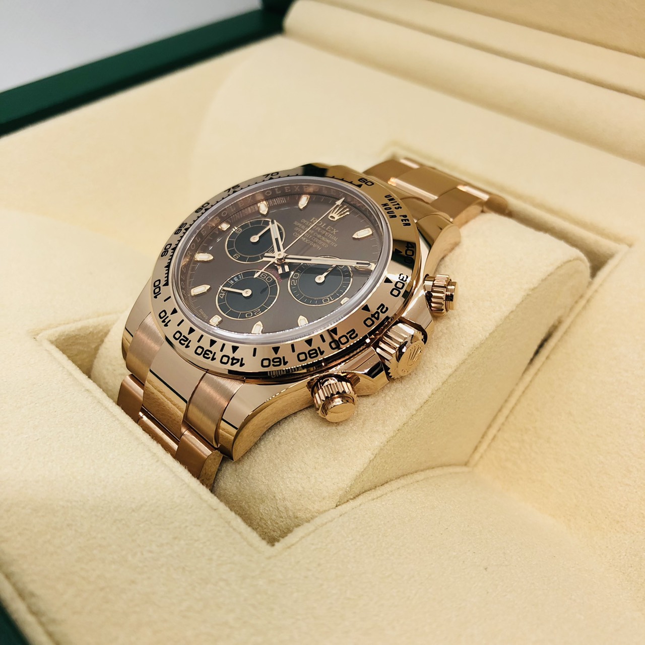 ����å��� �ǥ��ȥ� 116505 ���祳�졼�ȡ��֥�å�