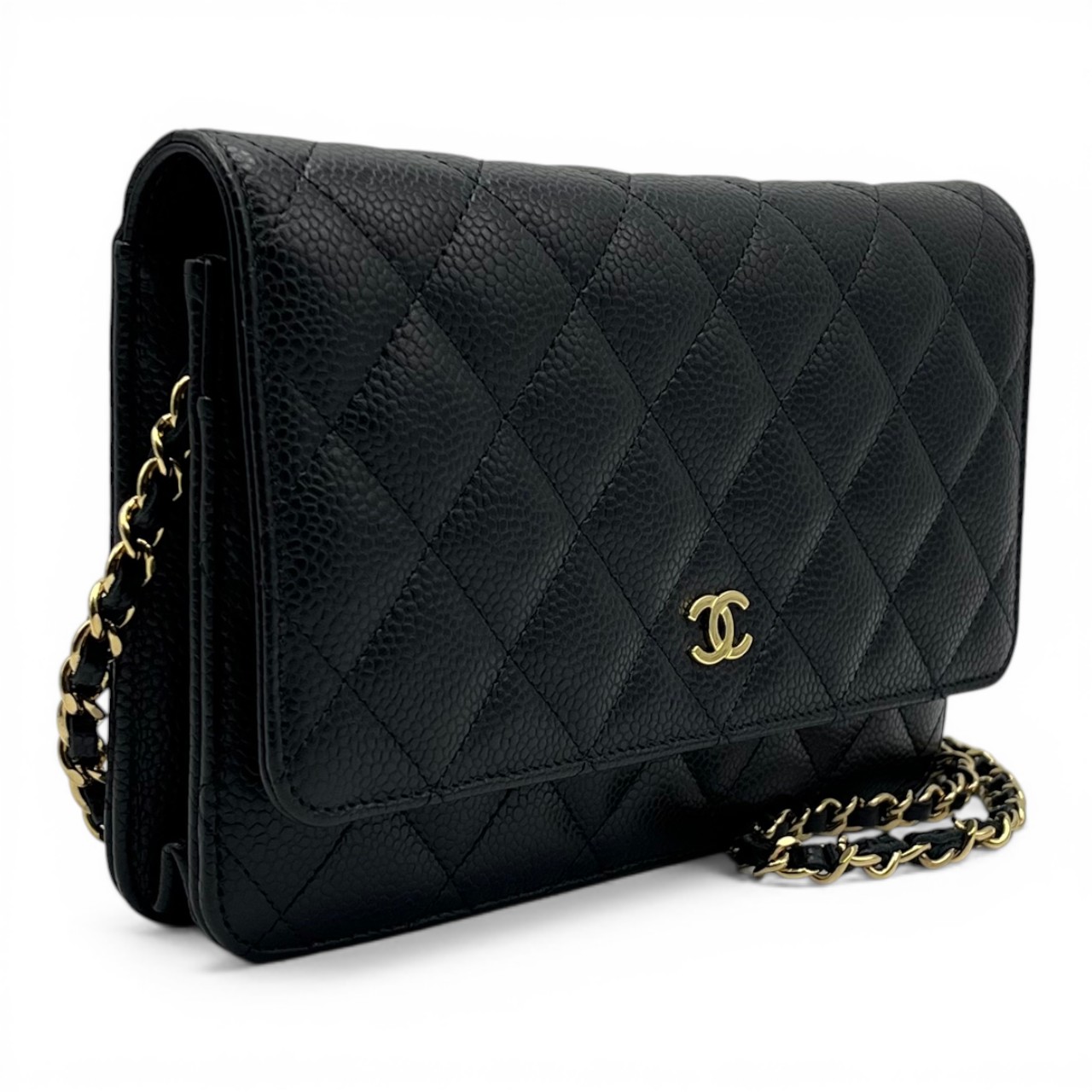 ����ͥ� �������󥦥���å� AP0250 �֥�å� ����ӥ������� ������ɶ��