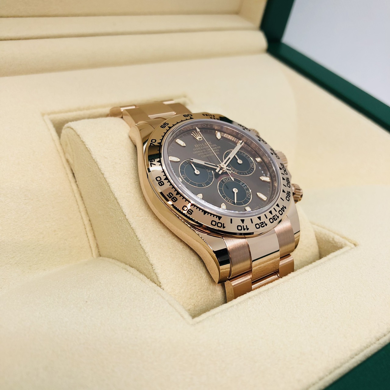 ����å��� �ǥ��ȥ� 116505 ���祳�졼�ȡ��֥�å�