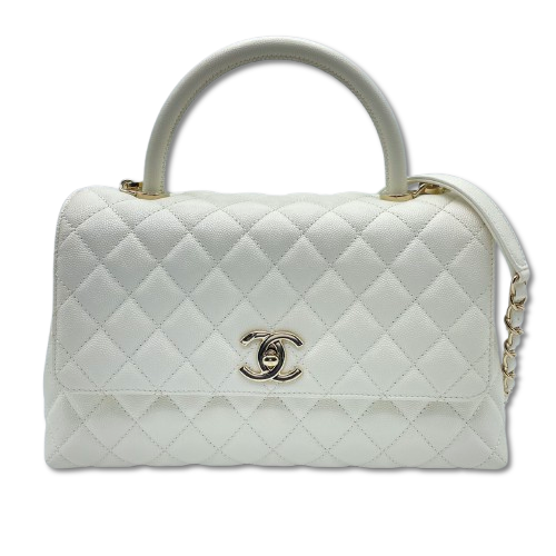 ͥ ϥɥ W29 ۥ磻 ӥ ѥ󥴡ɶ