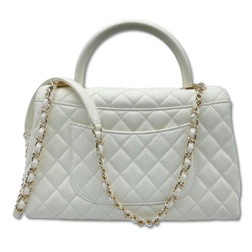 ͥ ϥɥ W29 ۥ磻 ӥ ѥ󥴡ɶ