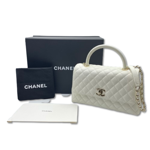 ͥ ϥɥ W29 ۥ磻 ӥ ѥ󥴡ɶ