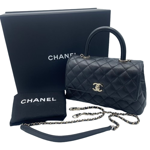 ͥ ϥɥ XS(24) ֥å ӥ