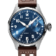 IWC �ӥå����ѥ����åȡ������å��ȥץƥ����ץ�󥹡� IW501002