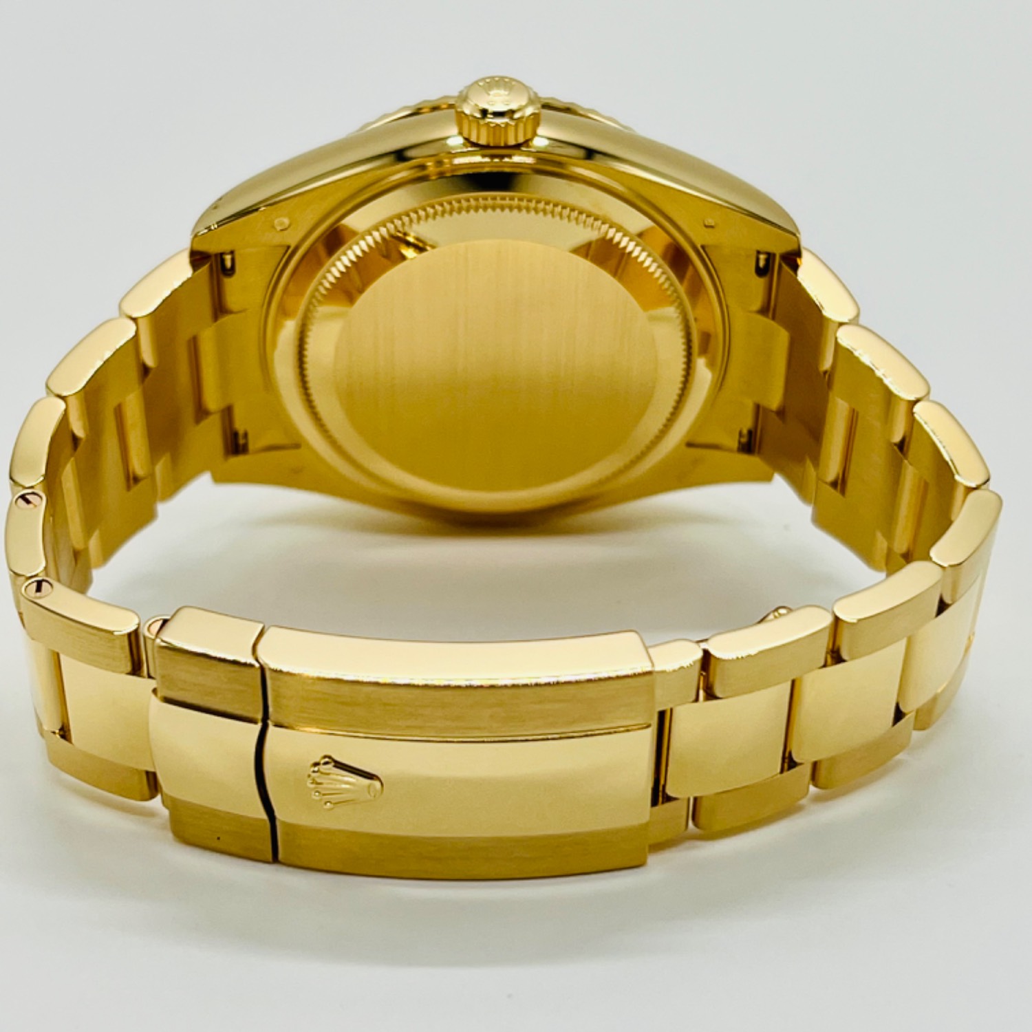 2023ǯۥå ɥ顼 336938 ѥ󥫥顼