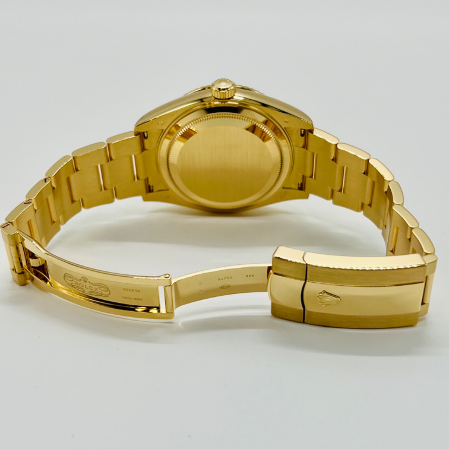 2023ǯۥå ɥ顼 336938 ѥ󥫥顼