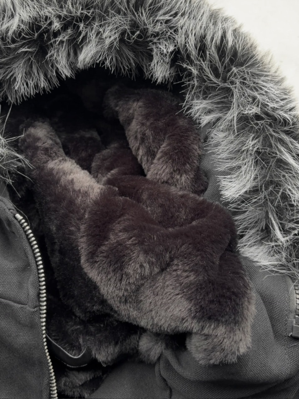 youll】cropped fur hooded blouson | OUR BRAND,youll | PRESSING WEB
