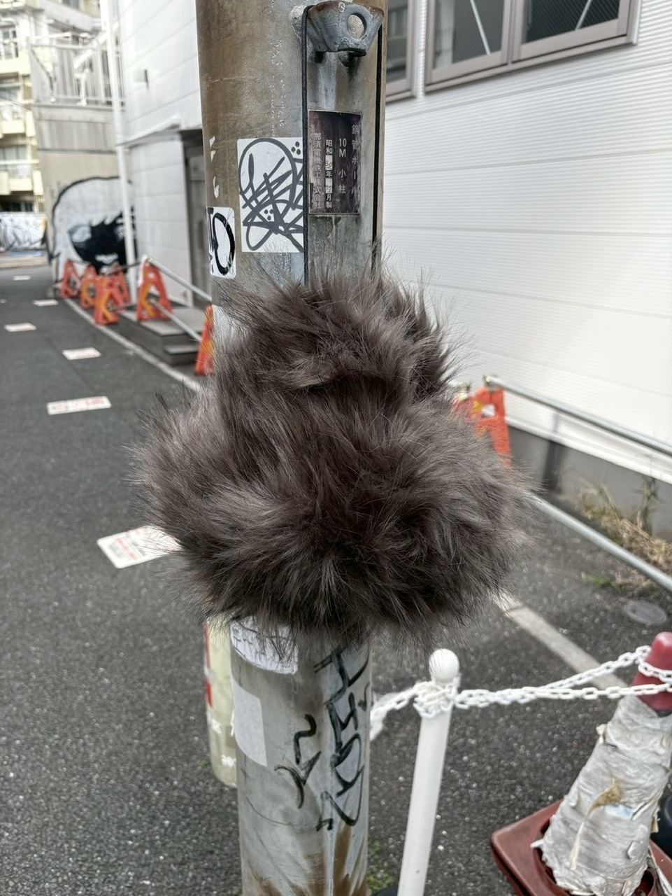 受注制【youll】giant fur flight cap (2color)