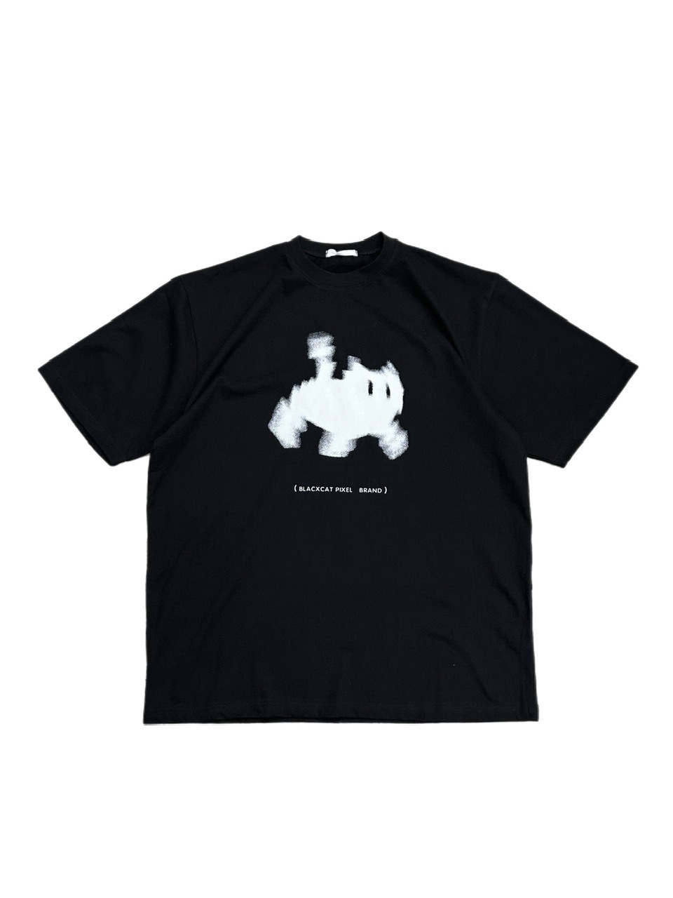 OSAKA / WEB限定受注制【Chikashitsu +】oversized pixel cats t-shirt (2color)