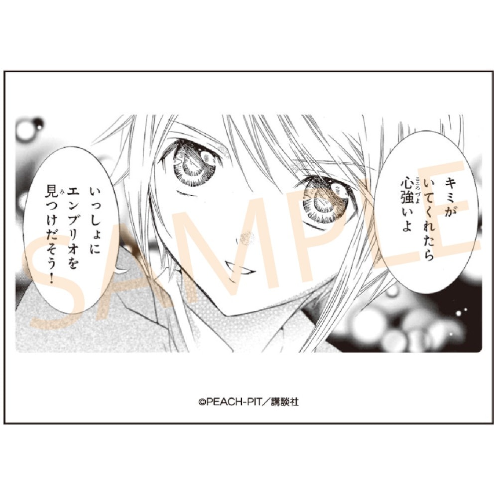 【予約 01/23 発送予定】 しゅごキャラ！アクリルブロック(10) グッズ