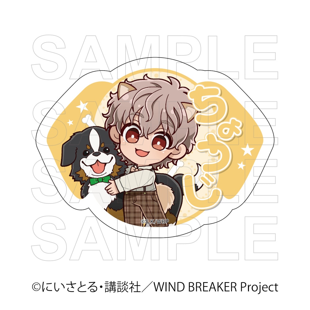 WIND BREAKER グッズ通販｜ウィンドブレーカーのアニメキャラの最新