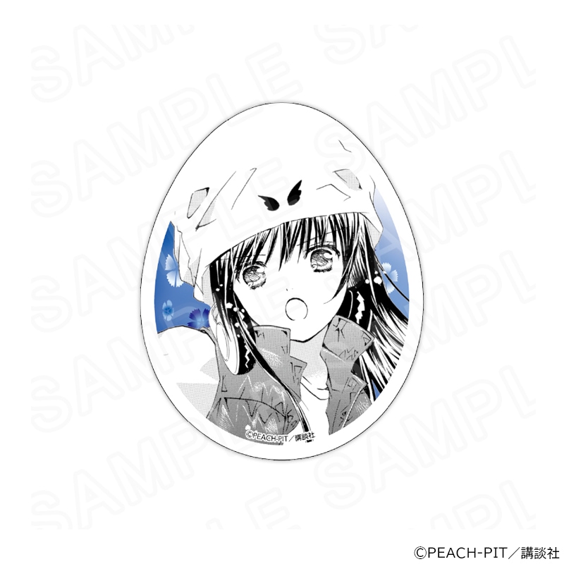 【 12/05 発送予定】 しゅごキャラ！ アクリルカード E グッズ