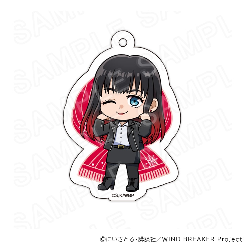 02/25 発送予定】 TVアニメ『WIND BREAKER』ミニキャラアクリル