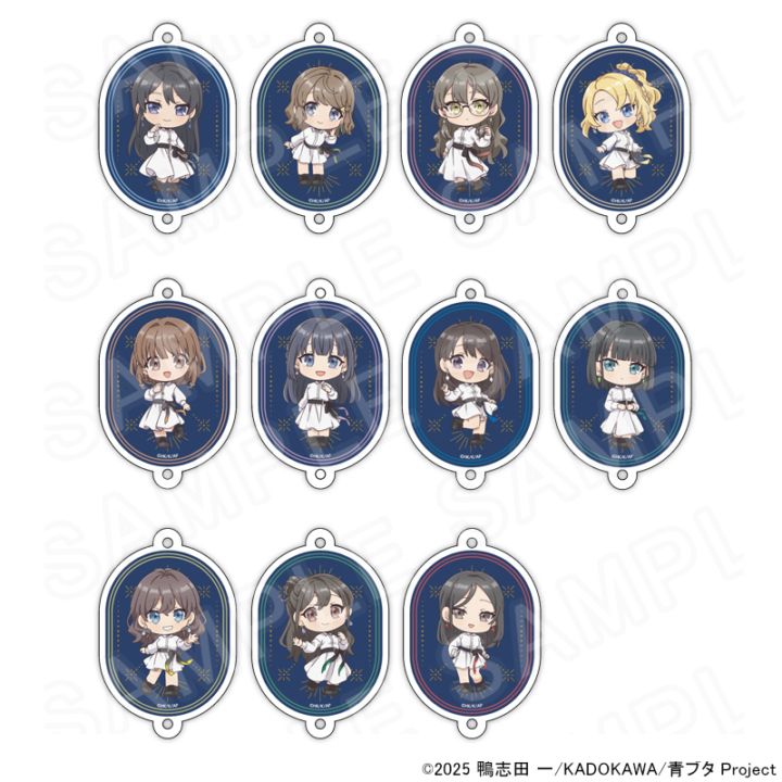 【 09/04 発送予定】 アニメ「青春ブタ野郎」シリーズ ミニキャラアクリルチャーム ※ブラインド販売 グッズ