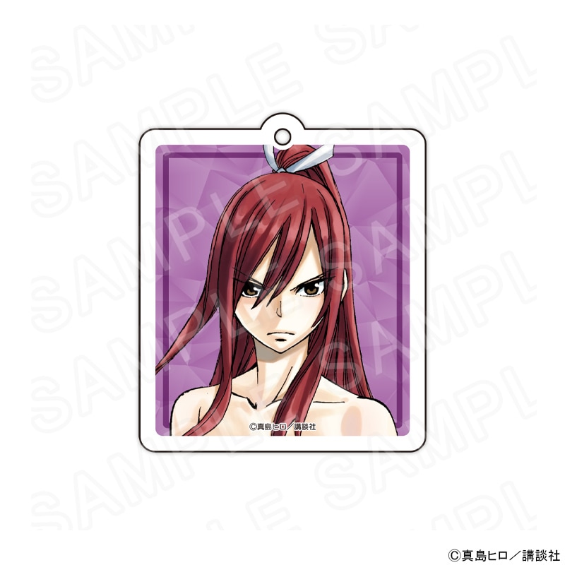 【 11/03 発送予定】 原作「FAIRY TAIL」 アクリルキーホルダー D グッズ