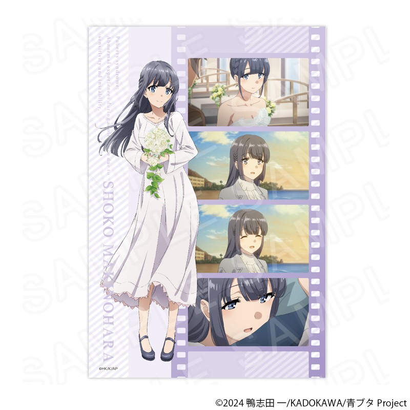 新品 青春ブタ野郎シリーズ 限定幅広帯版10-15巻 特典ポストカード6枚セット Amazon.co.jp: 青春ブタ野郎 桜島麻衣 青ブタ 横浜 ポストカード