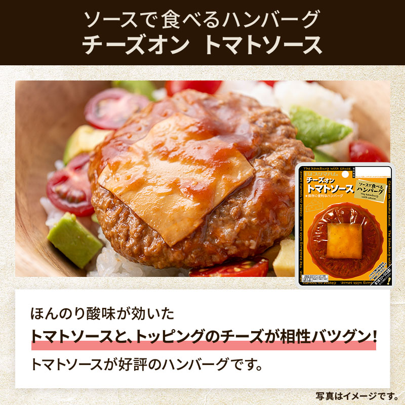 レンチンするだけ！ソースで食べるハンバーグ 3種（デミグラスソース