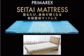 プリマレックスSEITAI　ダブル