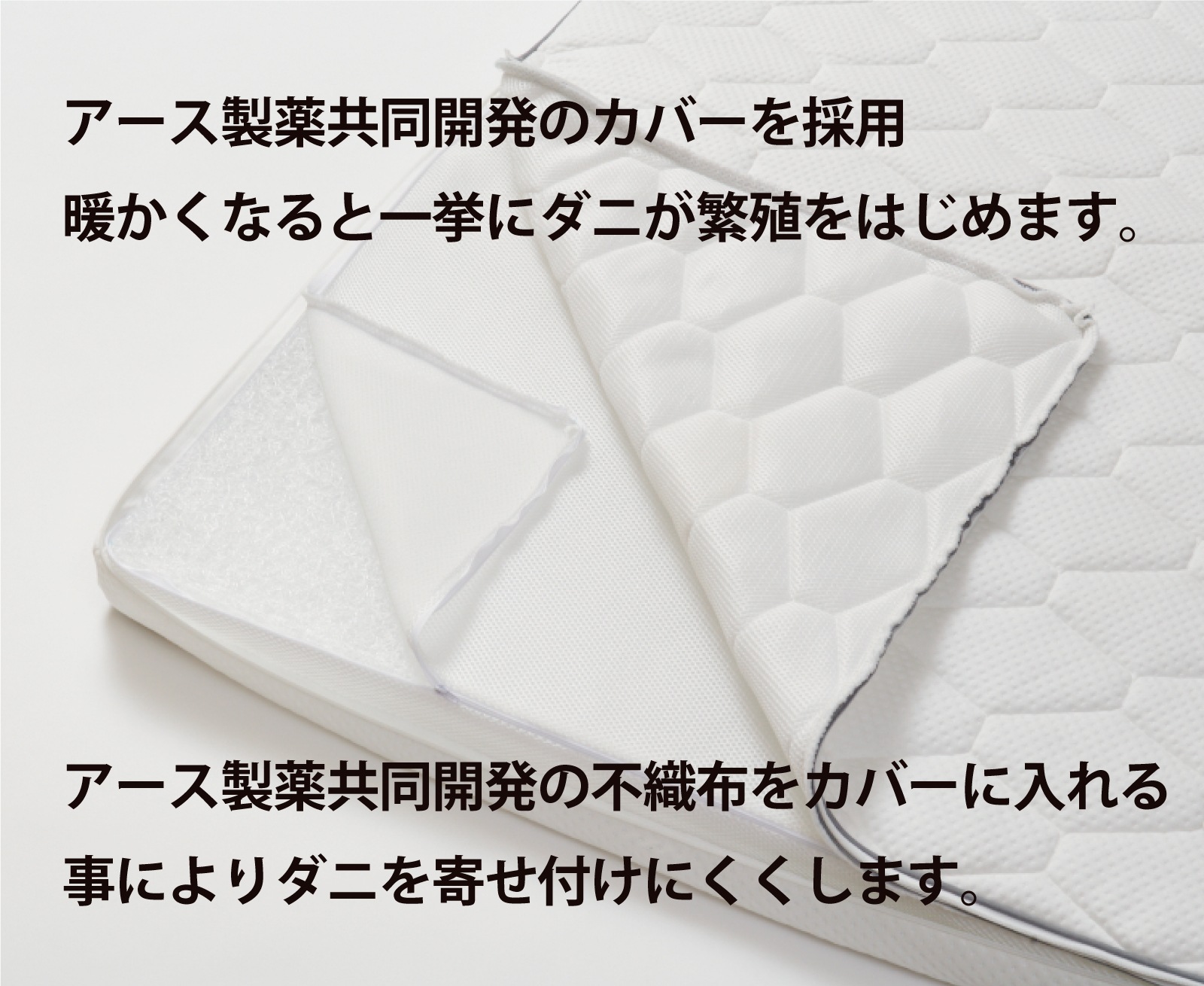 プリマレックスSEITAI　シングルサイズ