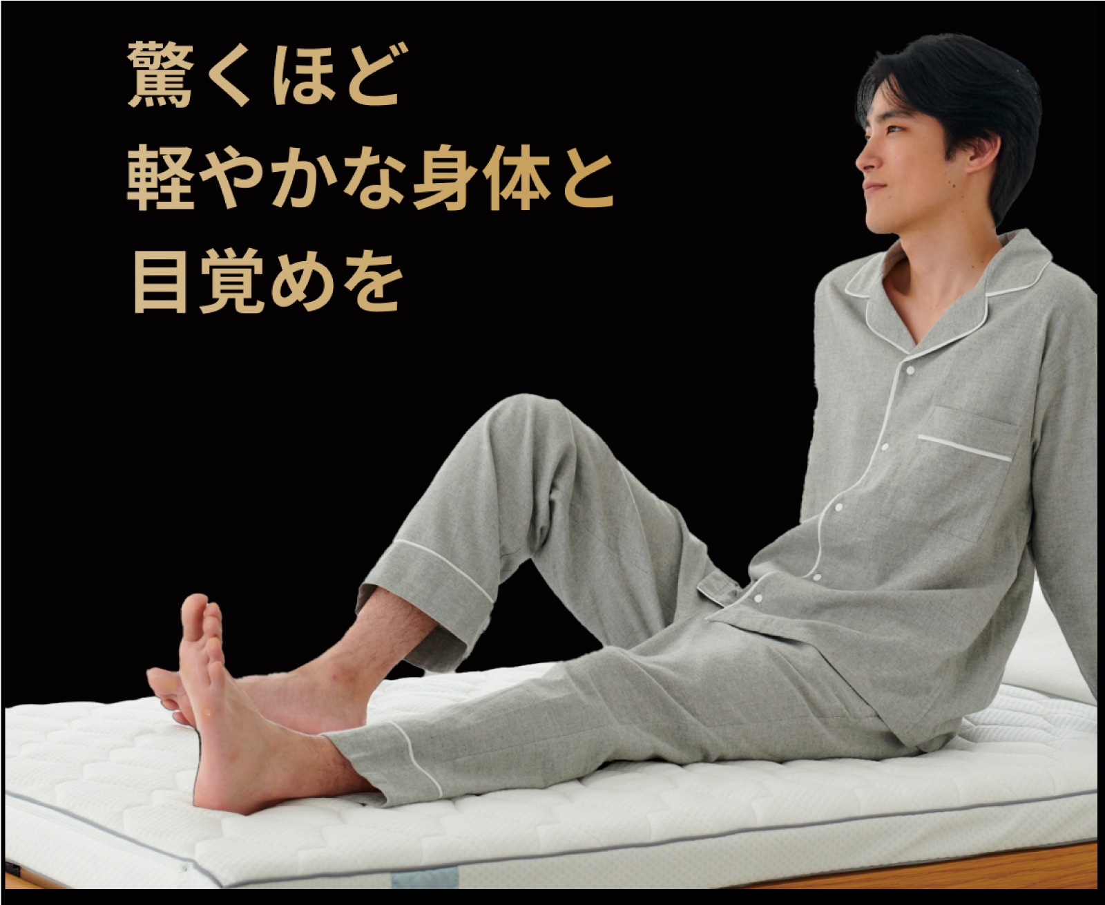 プリマレックスSEITAI　シングルサイズ