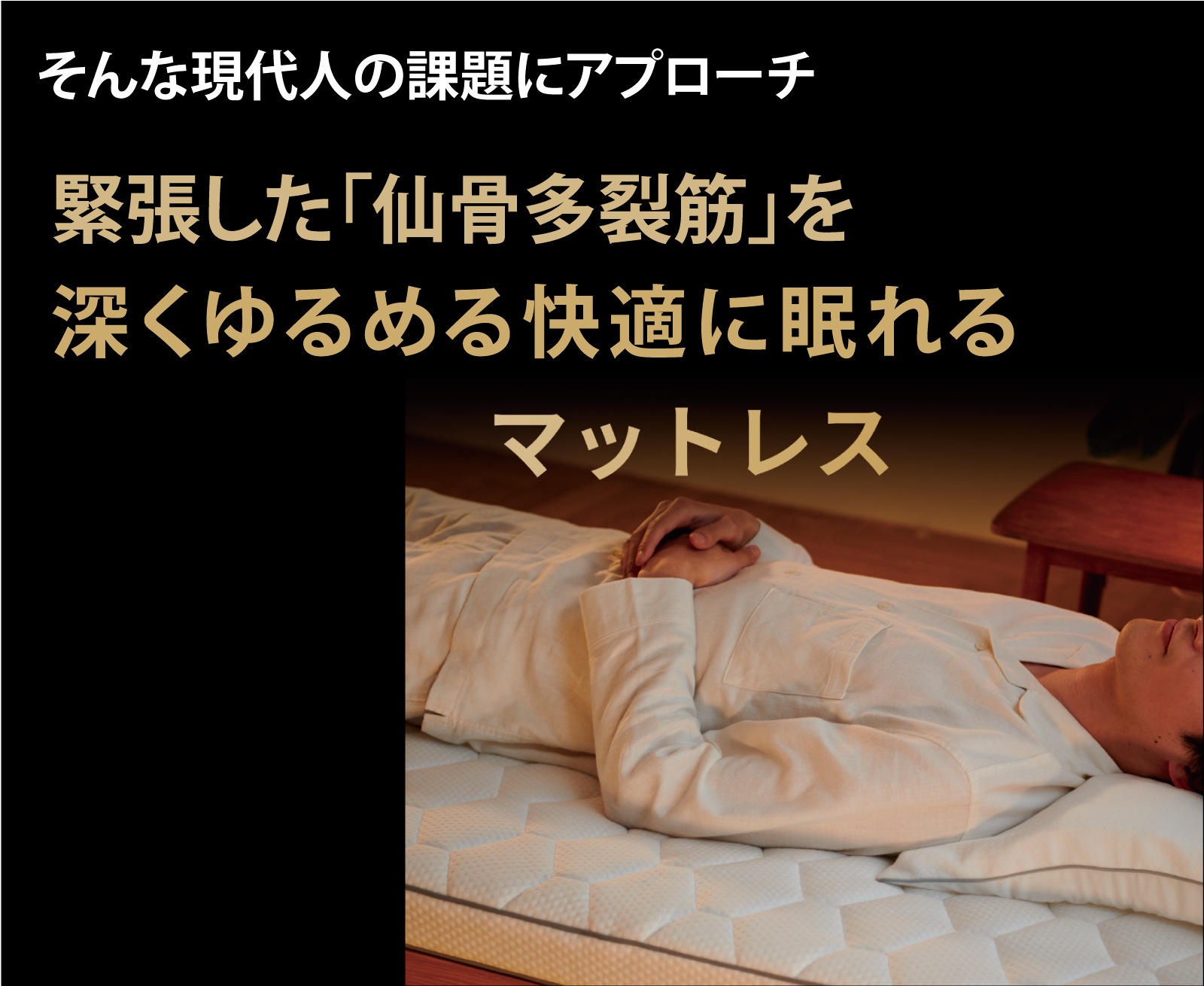 プリマレックスSEITAI　シングルサイズ