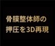 プリマレックスSEITAI　シングルサイズ