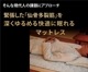 プリマレックスSEITAI　シングルサイズ